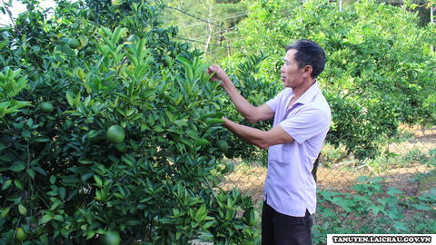 Nâng cao chất lượng tiêu chí nông thôn mới ở xã Pắc Ta