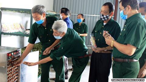 Tân Uyên: Hội Cựu TNXP vươn lên làm kinh tế