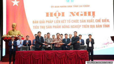 Bàn giải pháp liên kết tổ chức sản xuất, chế biến, tiêu thụ sản phẩm  nông nghiệp