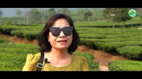 TÂN UYÊN NƠI HỘI TỤ CỦA THIÊN NHIÊN