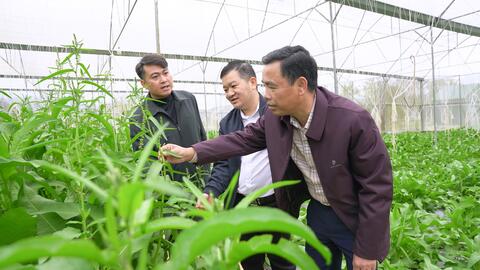 Đồng chí Bí thư Đảng ủy Nguyễn Minh Hiệu, thăm một số mô hình phát triển kinh tế trên địa bàn xã