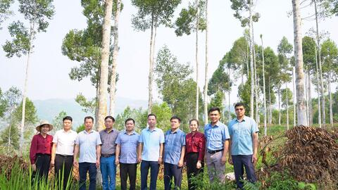 Thường trực Đảng ủy làm việc với các chi bộ thôn về tình hình hoạt động của chi bộ năm 2026.