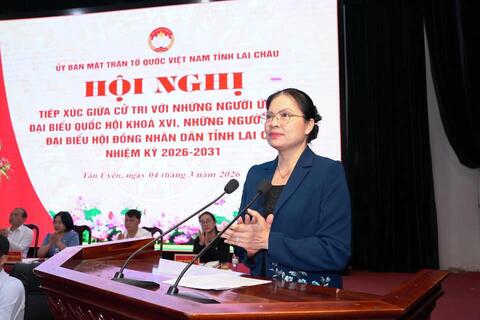 HỘI NGHỊ TIẾP XÚC GIỮA CỬ TRI VỚI NGƯỜI ỨNG CỬ ĐẠI BIỂU QUỐC HỘI KHÓA XVI VÀ HĐND TỈNH NHIỆM KỲ 2026-2031