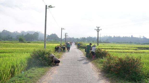 Bản 24 ra quân xây dựng nông thôn mới, chỉnh trang tuyến đường hoa
